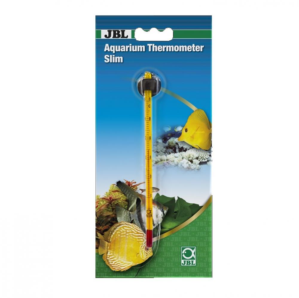 Thermometer - Thermometer