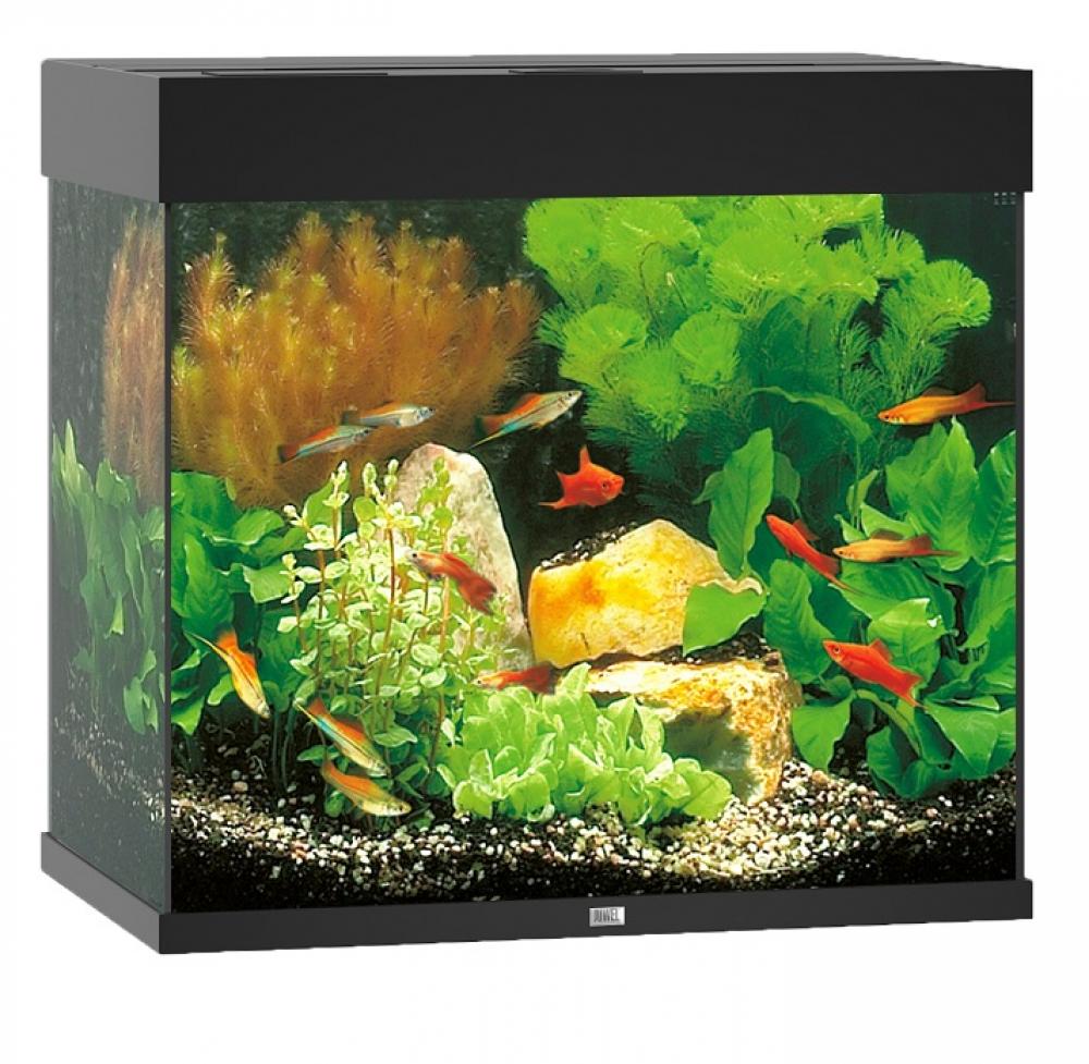 Aquarium Juwel - Aquarium Juwel