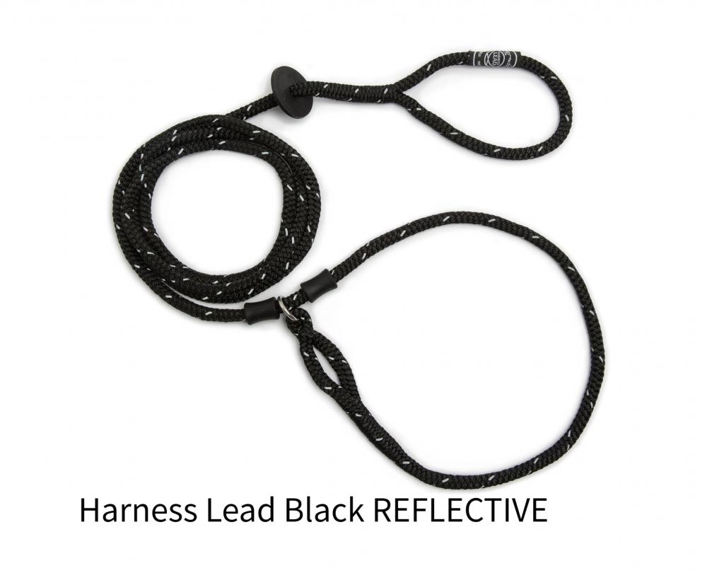 Harness lead - Harness lead