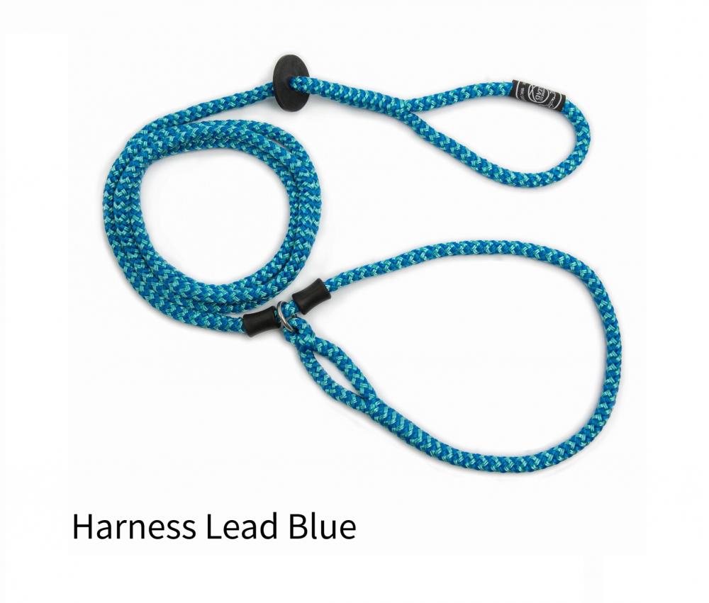 Harness lead - Harness lead