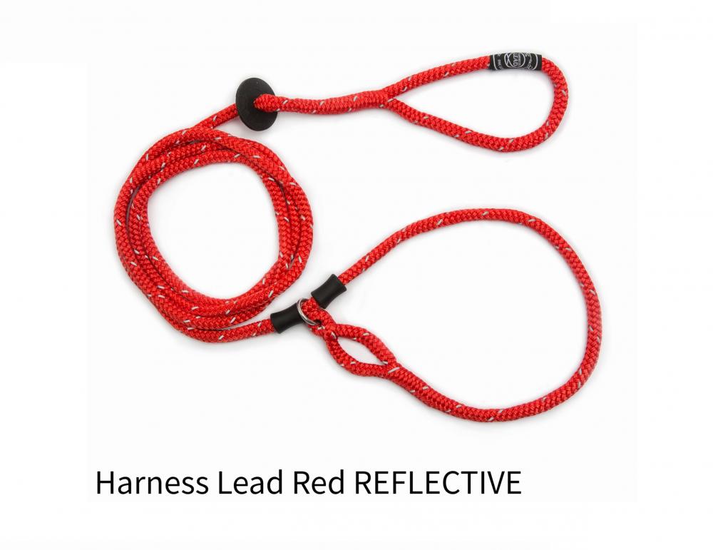 Harness lead - Harness lead