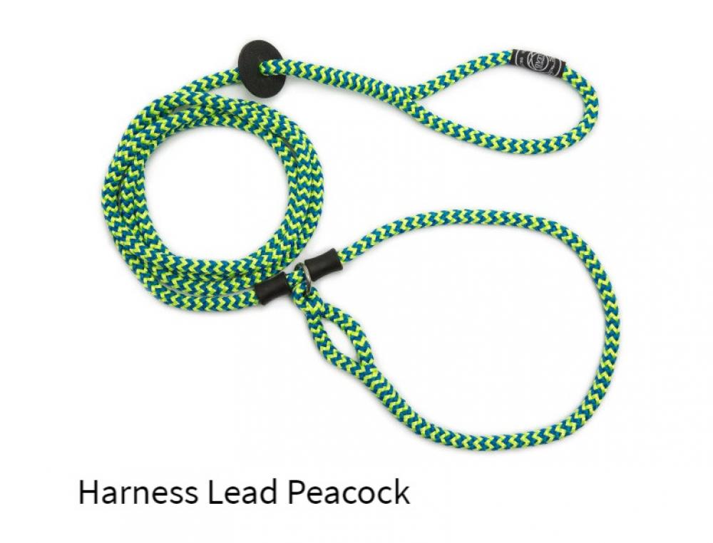 Harness lead - Harness lead