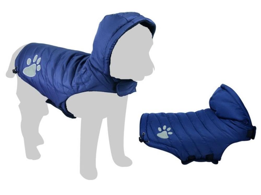 Paw blauw - Paw blauw