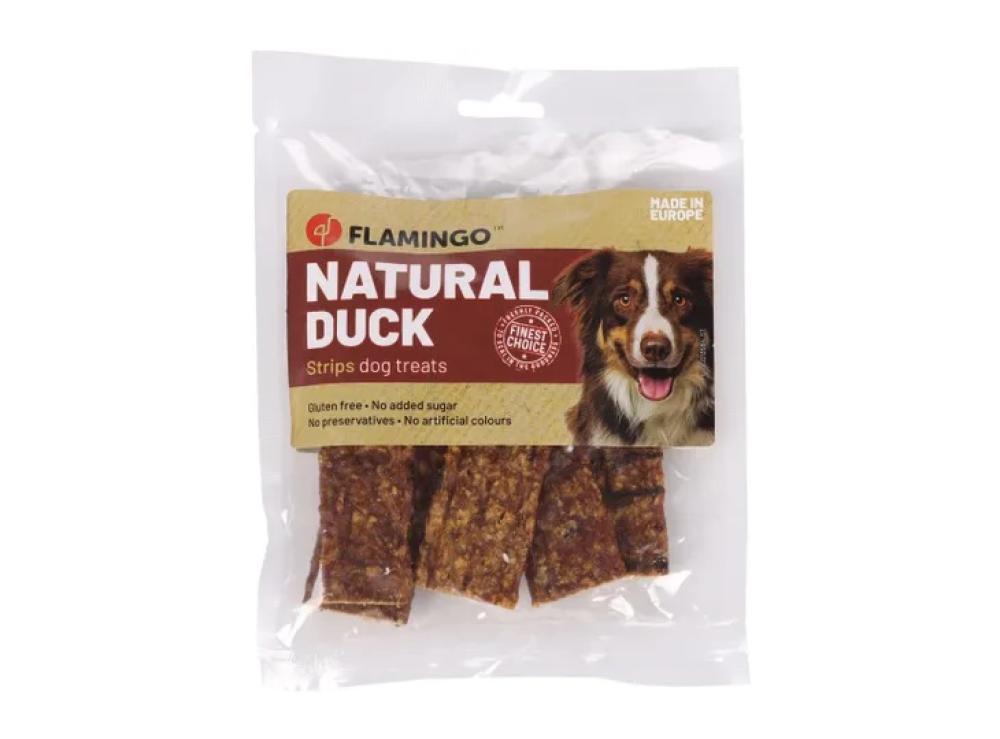 nature snack - nature snack