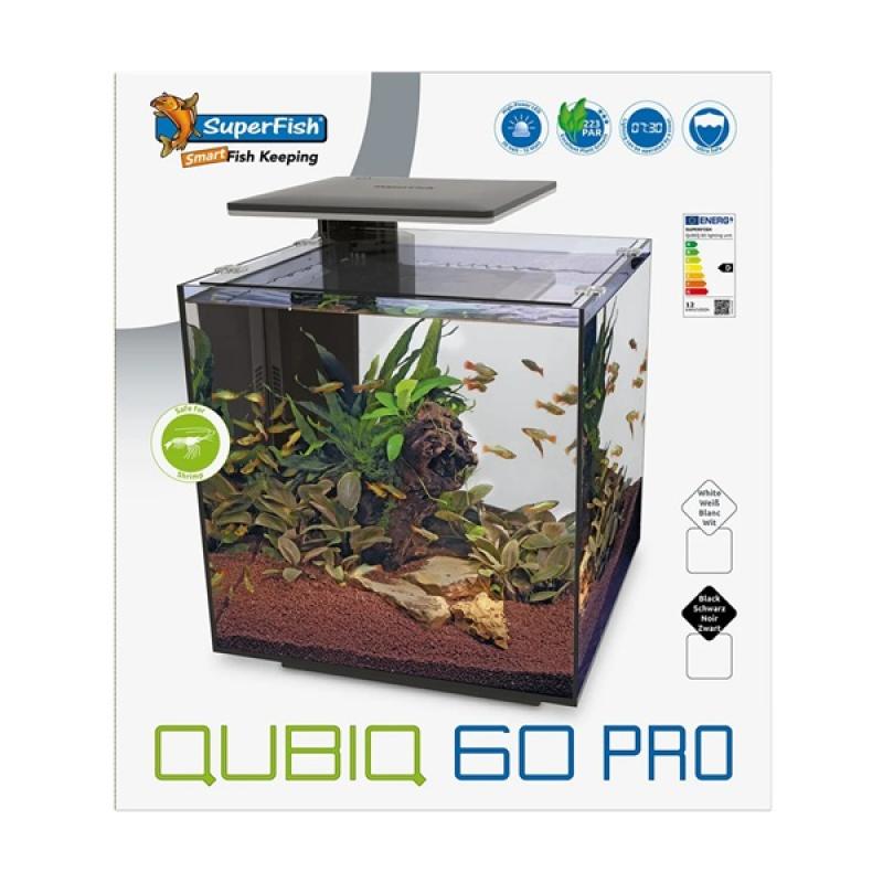 Aquarium SuperFish - Aquarium SuperFish