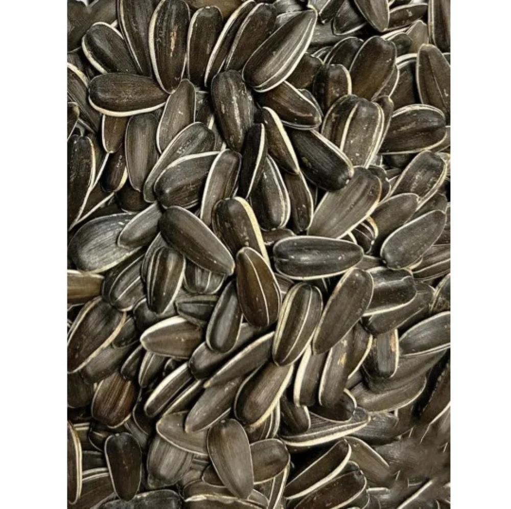 Zonnebloempitten gestreept - Zonnebloempitten gestreept